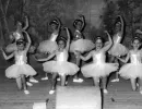 1955
