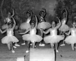 1955